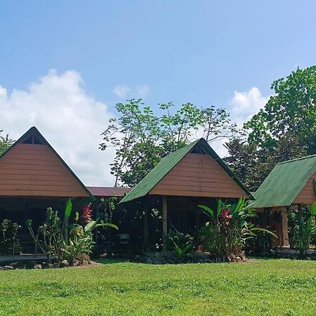 Hotel Jhazmin Aeropuerto Drake Bay Exterior photo