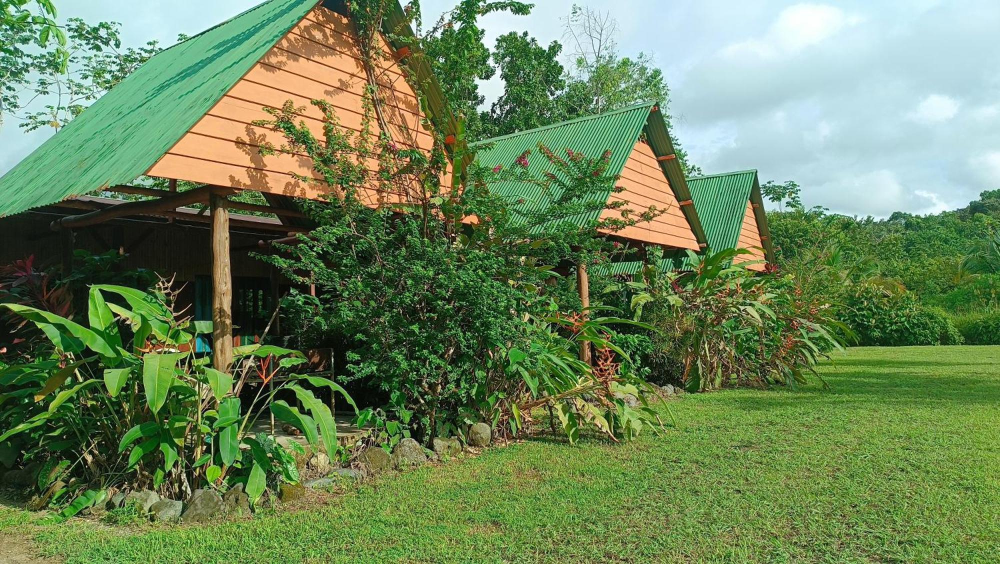 Hotel Jhazmin Aeropuerto Drake Bay Exterior photo