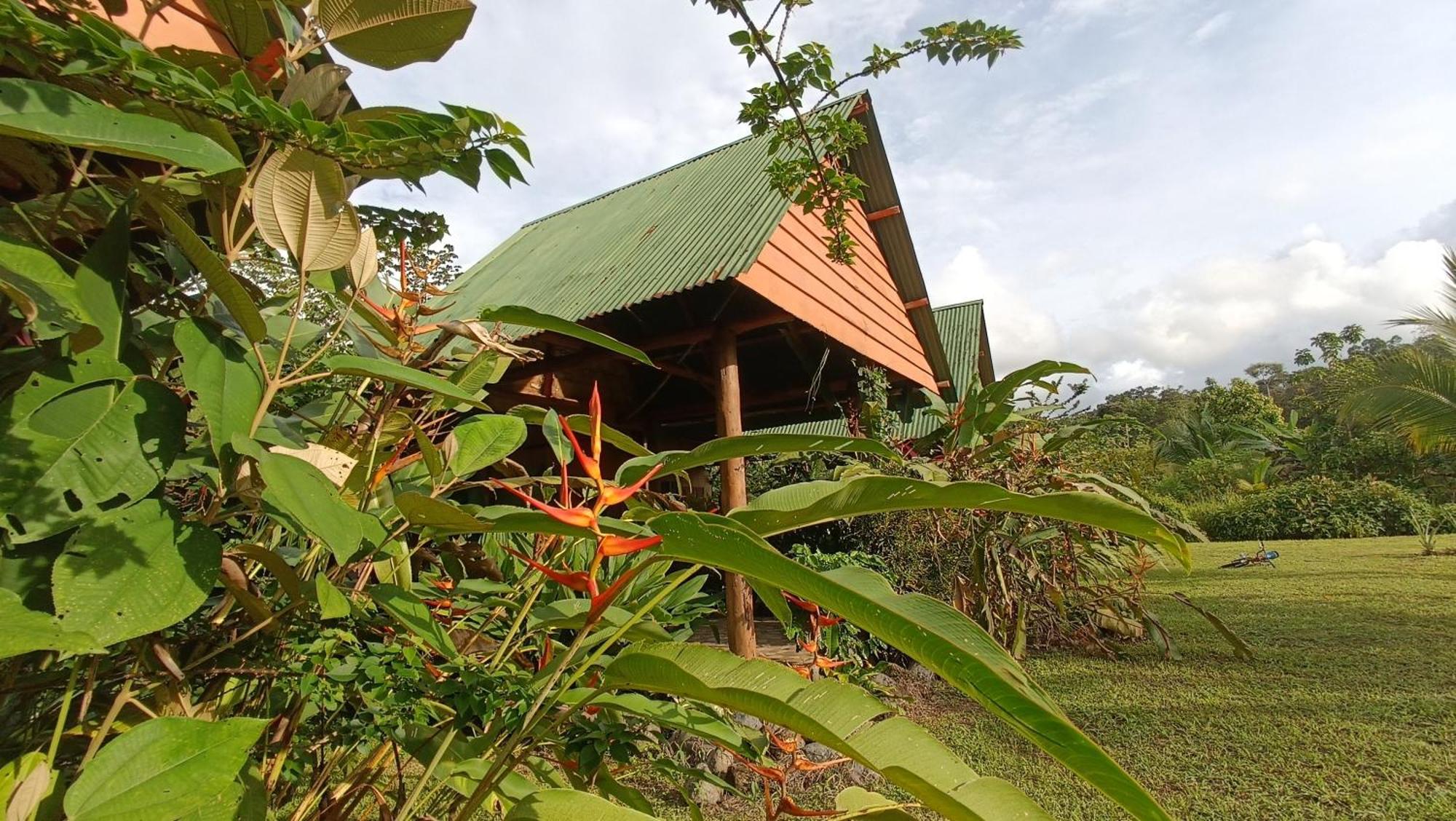 Hotel Jhazmin Aeropuerto Drake Bay Exterior photo