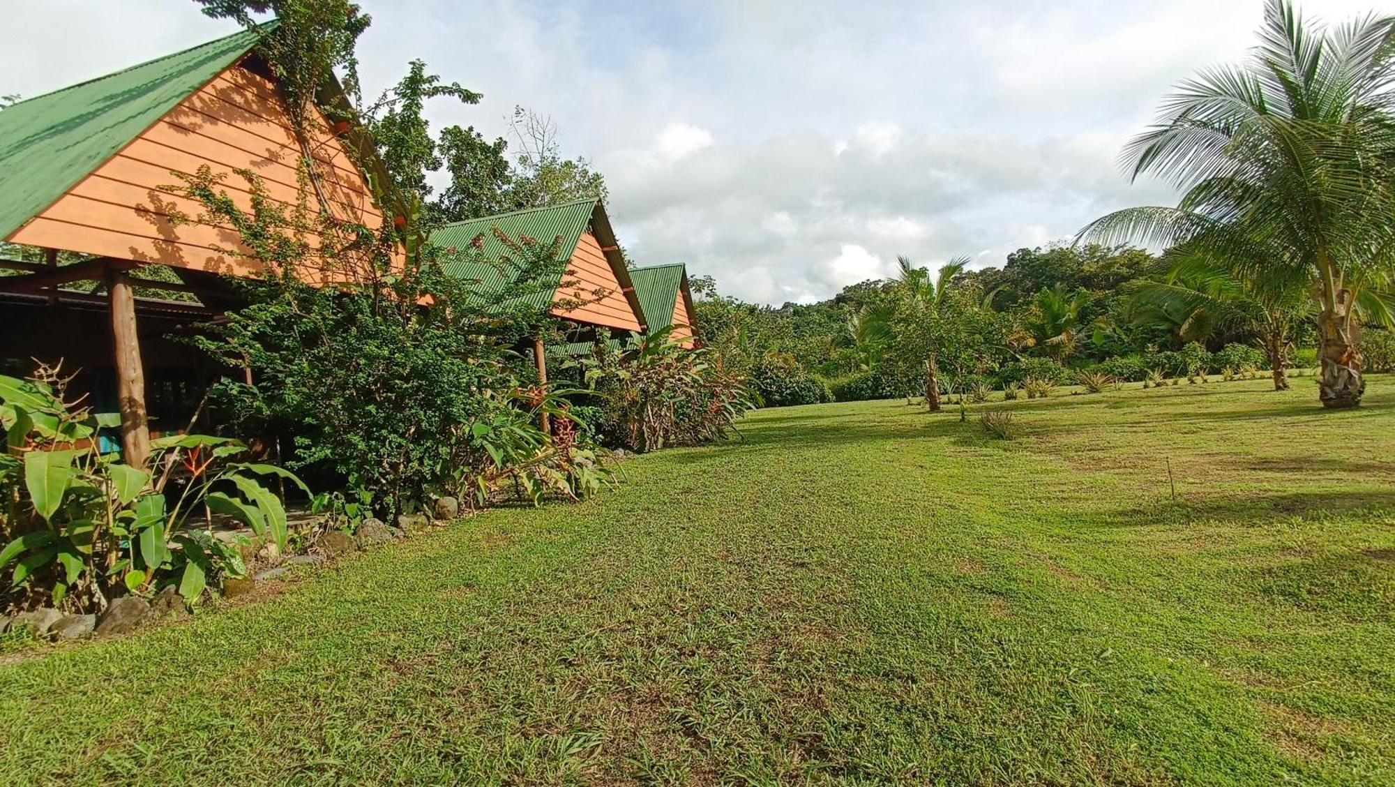 Hotel Jhazmin Aeropuerto Drake Bay Exterior photo