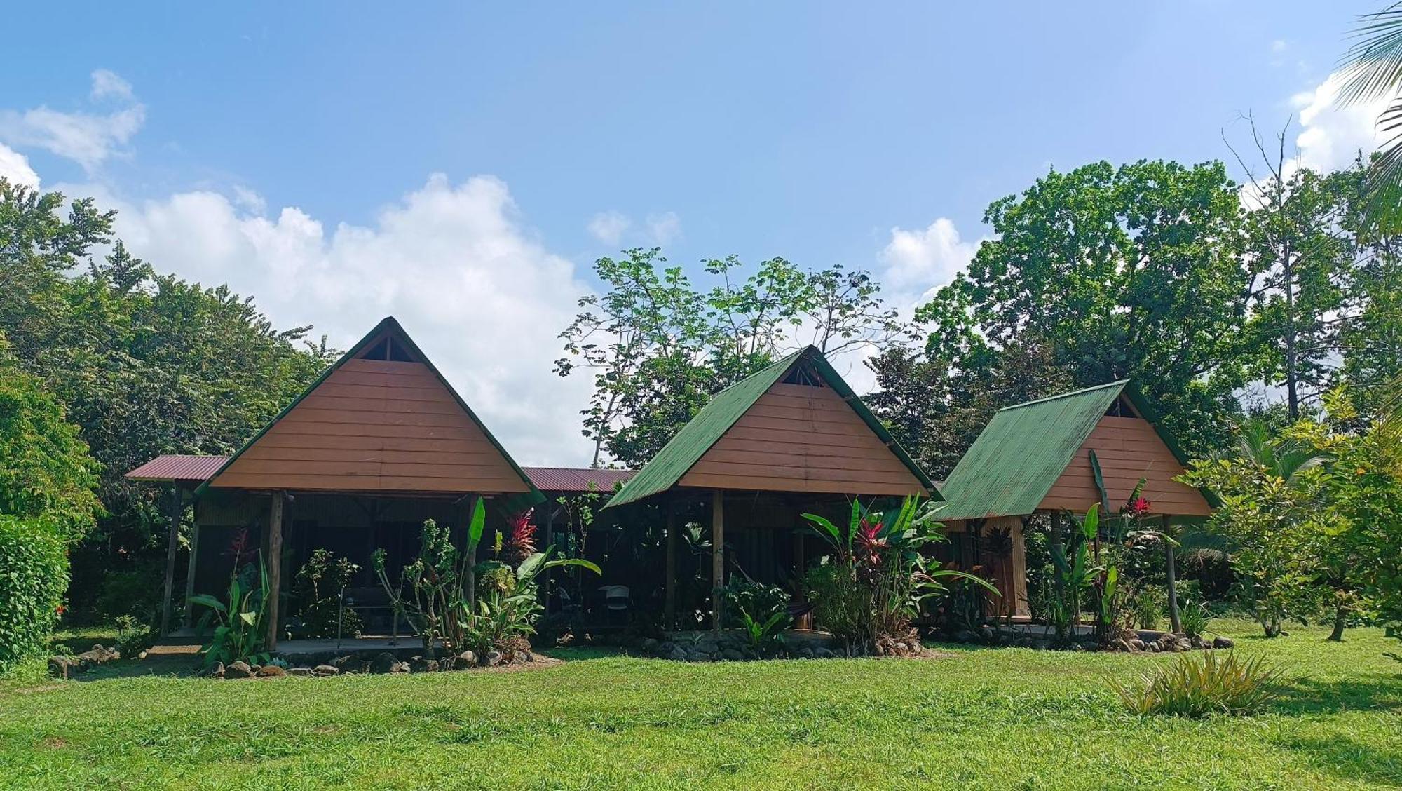 Hotel Jhazmin Aeropuerto Drake Bay Exterior photo