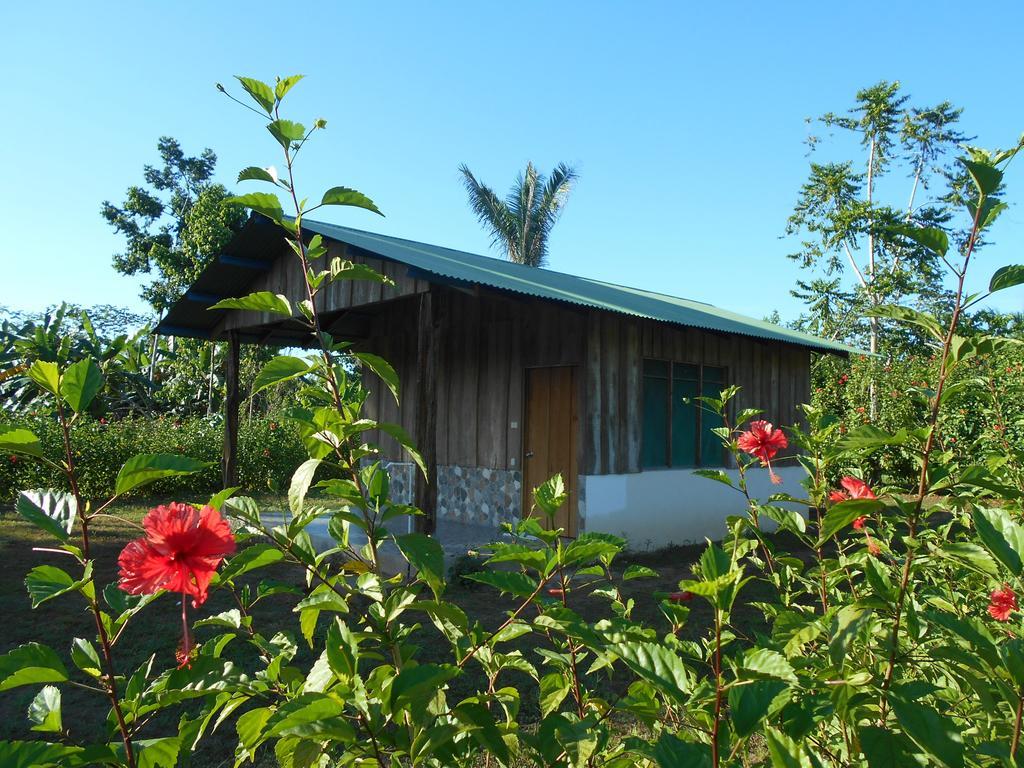 Hotel Jhazmin Aeropuerto Drake Bay Exterior photo