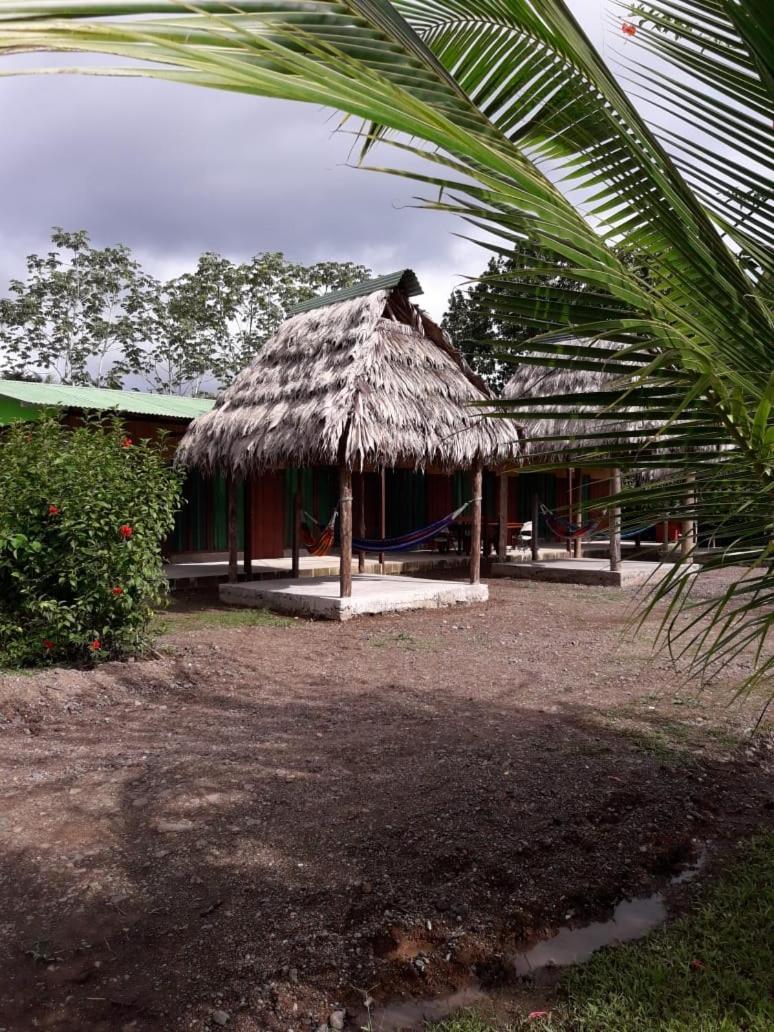 Hotel Jhazmin Aeropuerto Drake Bay Exterior photo